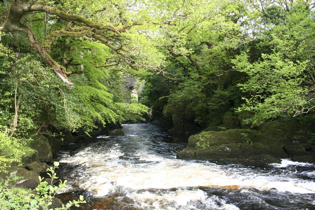 Feirm Cottage Kenmare Eksteriør billede